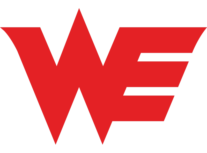 Team WE